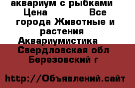 аквариум с рыбками › Цена ­ 15 000 - Все города Животные и растения » Аквариумистика   . Свердловская обл.,Березовский г.